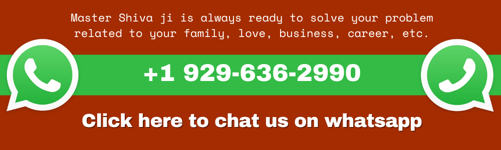 astrologer in new york, best astrologer in new york, indian astrologer in new york
