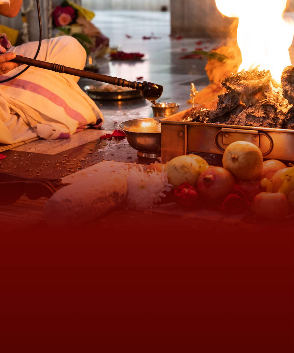 astrologer in new york, best astrologer in new york, indian astrologer in new york